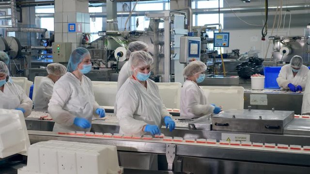 Plant workers in uniform pack food from a moving line.