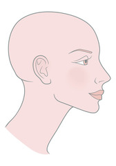 Bald Hairless Profile of a girl with a beautiful skull. Shaved skull.
