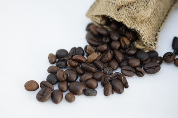 coffee beans on a white background