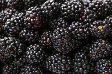 Ripe tasty blackberry as background