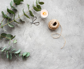 Eucalyptus branches on a concrete background