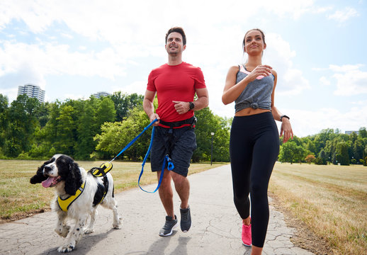 Morning Running With Dog And Partner