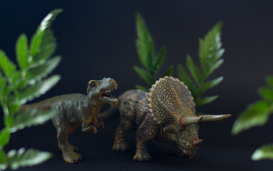 Realistic figures of the tyrannosaurus and triceratops dinosaurs under juicy green leaves on the black background