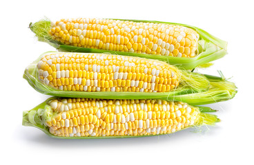 fresh raw corn on the cob isolated on white background