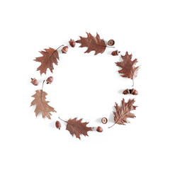 Autumn creative composition. Dried leaves oak on white background. Fall background. Flat lay, top view, copy space, square