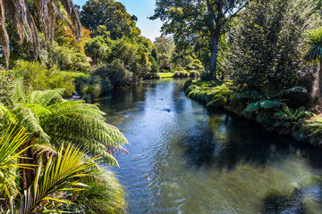 Shady avenue goes along a calm river