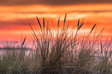 ostsee