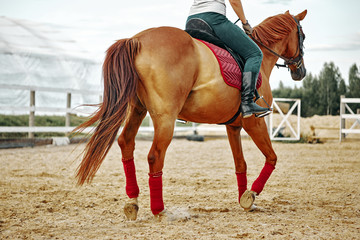 girl rider rides a horse. leather boot in stirrup. Horseback Riding.