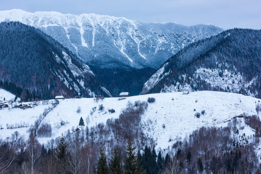 Carpathian Mountains snowy winter landscape, Pestera, Bran, Transylvania, Romania