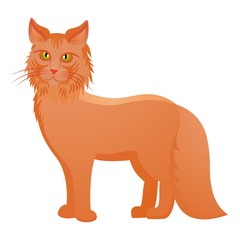 Red maine coon icon. Cartoon of red maine coon vector icon for web design isolated on white background