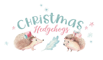 Set of Christmas Woodland forest cartoon baby cute hedgehog animal character. Winter raccoon christmas tree floral elements, bouquets, berries, fllowers, snow and snowflakes, poster © kris_art
