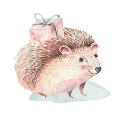 Set of Christmas Woodland forest baby cartoon cute hedgehog animal character. Winter raccoon christmas tree floral elements, bouquets, berries, fllowers, snow and snowflakes, poster © kris_art
