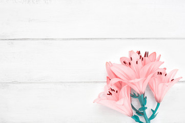 Pink lilies on a white wooden background. Beautiful flowers. Romance. White horizontal boards. Natural background. Flat lay, Top view. Congratulation