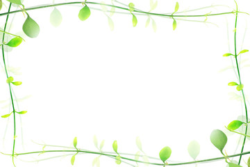background with green leaves border