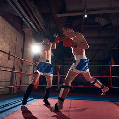 Two professional sportsmen boxers training kickboxing in the ring at the sport club