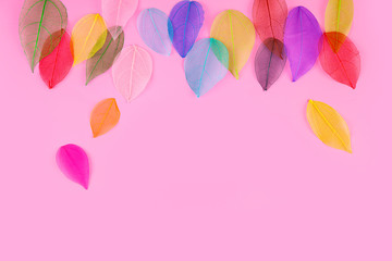 Fototapeta na wymiar Colorful leaves on a pink background.