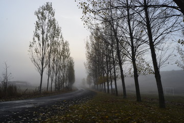 camino a Frias de Albarracin en otoño