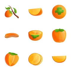 Persimmon fruit icon set. Cartoon set of 9 persimmon fruit vector icons for web design isolated on white background