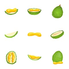 Fresh durian icon set. Cartoon set of 9 fresh durian vector icons for web design isolated on white background