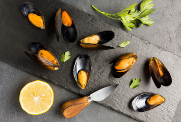Flat-lay cooked mussels on slate