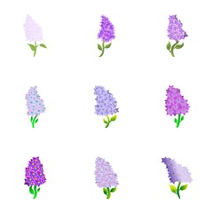 Obraz na płótnie Canvas Lilac flower icon set. Cartoon set of 9 lilac flower vector icons for web design isolated on white background