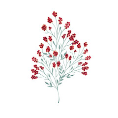 Watercolor background picture Wild flowers