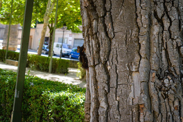 Viaje a Siguenza Castilla la Mancha