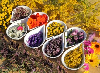 Herbs and flowers.