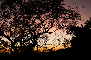 Chapada dos Guimarães