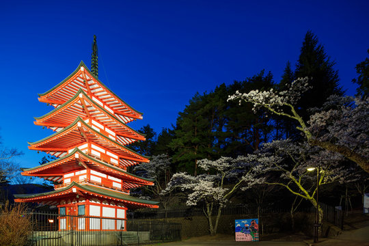 Cherry blossom at Chureito Pagoda in Arakurayama Sengen Park, Yamanashi Prefecture, Honshu, Japan
