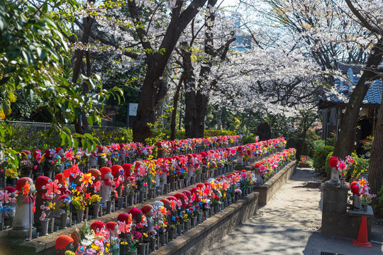 Spring cherry blossoms and Jizo statues, guardian deities of children, Zojoji Temple, Tokyo, Japan