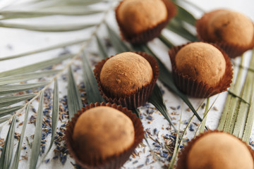 Raw Vegan Handmade Chocolate with nuts and dried