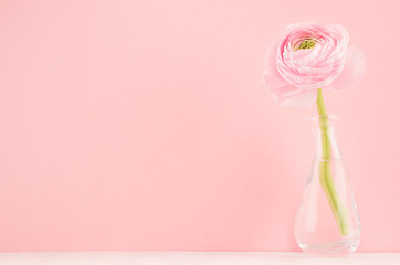 Fresh spring soft light romantic buttercup flower in exquisite glass vase on white wood table and pastel pink color background.