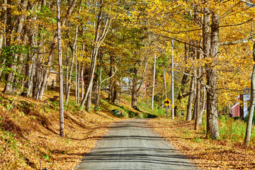 Dirt unpaved gravel road at autumn day in Vermont, USA.