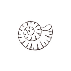 Seashell sketch collection vector illustration