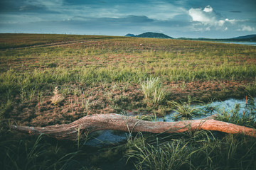 landscape with lake