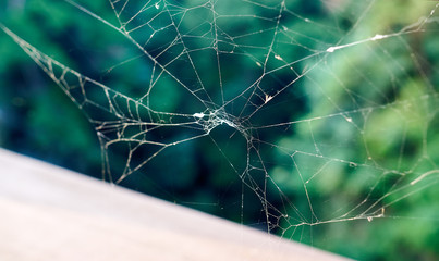 A close-up of a spider web in Jechun, South Korea.