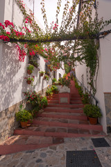 Obraz premium Benamahona one of the famous white towns from Cadiz region at Andalucia, Spain.
