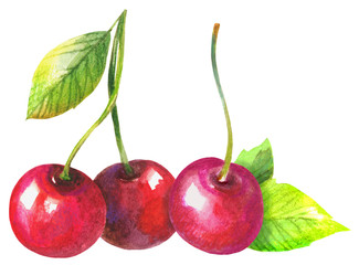 Watercolor Cherries