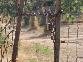 Candado y cadena que protegen la entrada del campo. Puerta protegida por una cadena y un candado