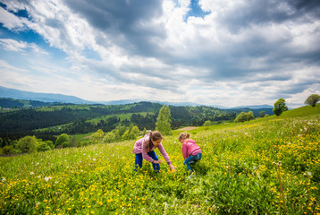 Obraz na płótnie Canvas Children walking in the flowering meadow