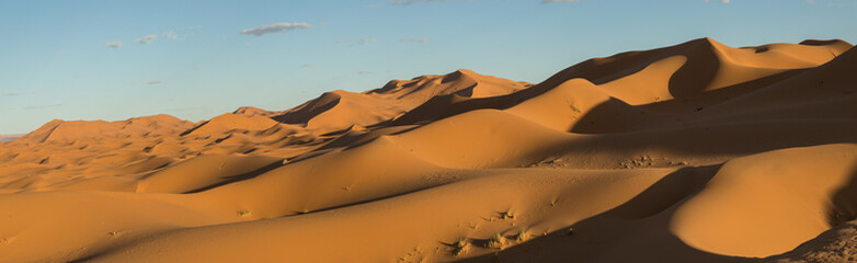 Fototapeta na wymiar panorama of sand dunes in Merzouga, Morocco