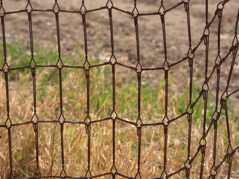 Reja en el campo, la reja est&aacute; hecha de los muelles de un somier. Reja r&uacute;stica para proteger la cosecha.