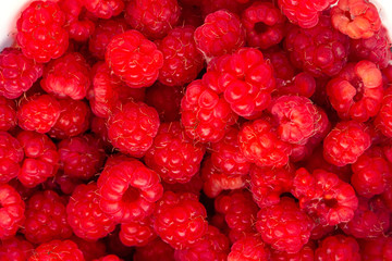 Ripe red berries of wild raspberry close-up. Close up of wild raspberries.