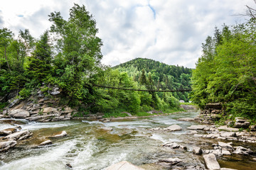 Raging river in the forest