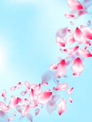 Japanese cherry blossom pink flying petals