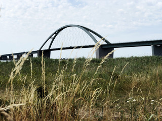 Die Bruecke 1