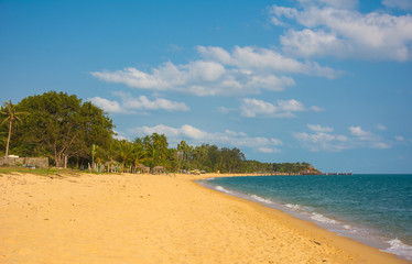 Fototapeta na wymiar Koh Samui tropical beach with coconut palm trees and golden sand