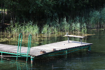 Puszcza Augustowska szlakiem rowerowym © Monika