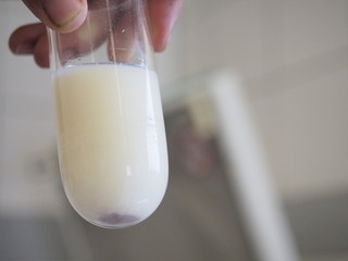 Preparing equine semen 